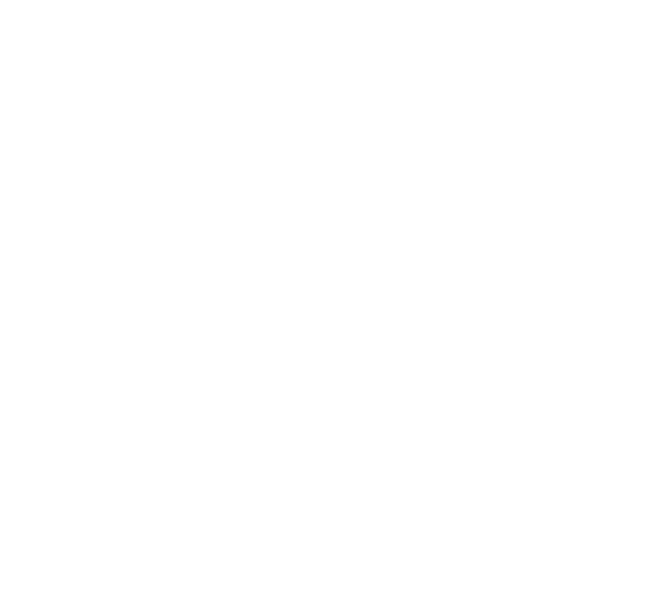 This is the alt tag for all logo elements (Utah City).