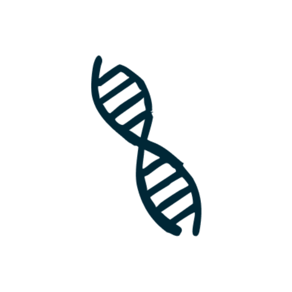 Huntsman Cancer Institute icon.